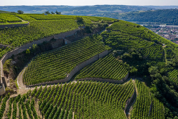 Northern Rhône