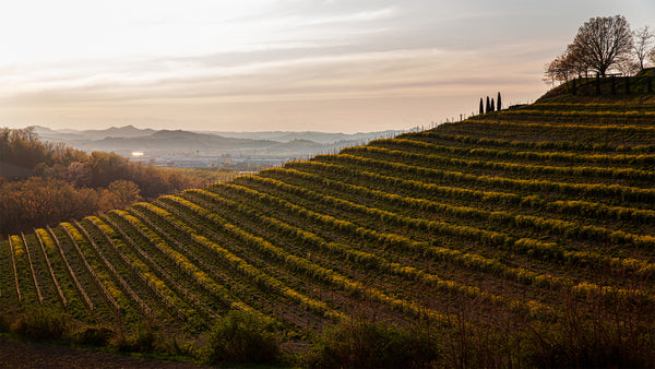 Piedmont