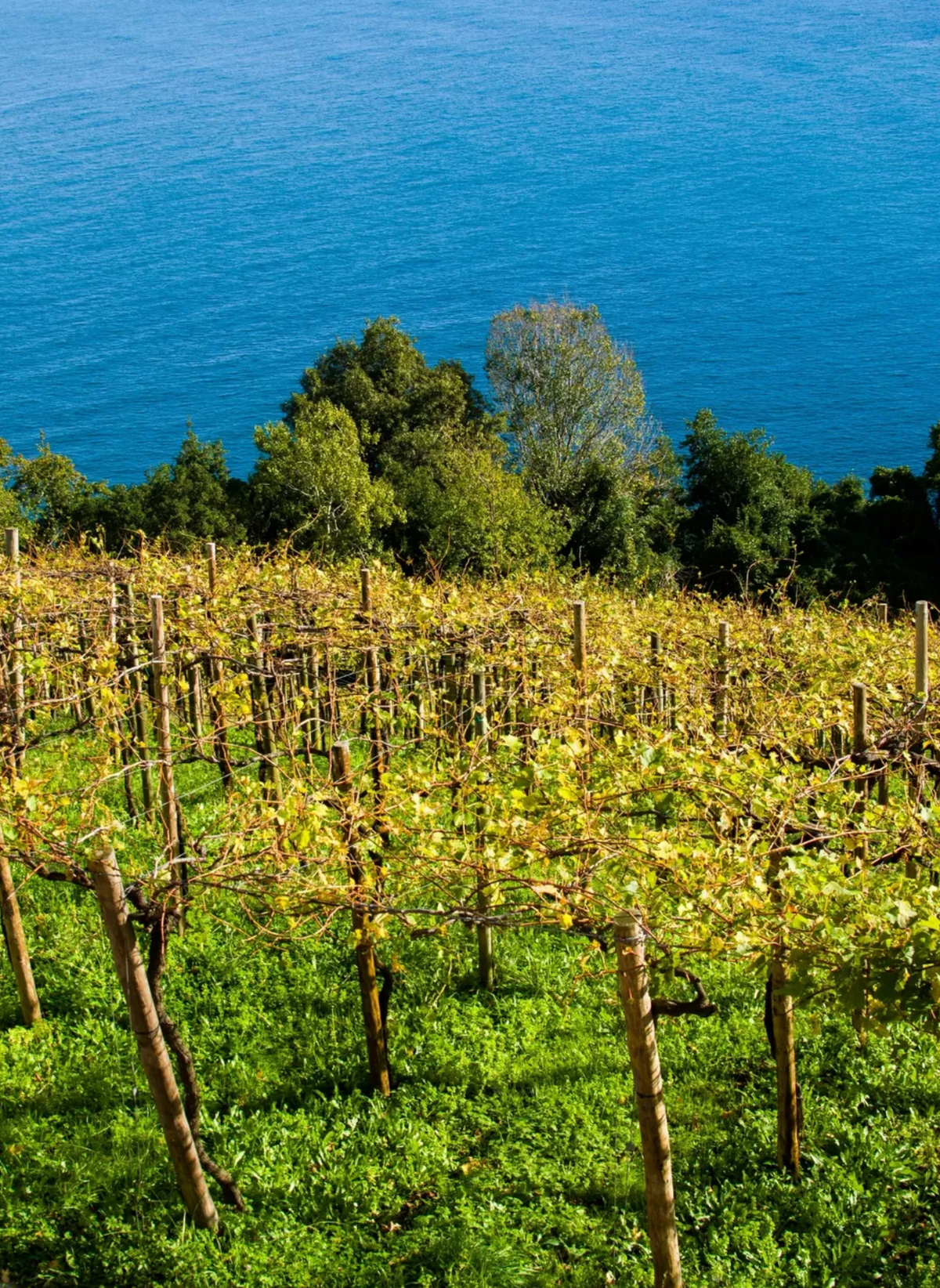 Basque Country & San Sebastián